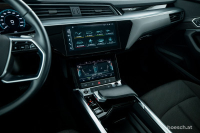 Audi e-tron Gebrauchtwagen