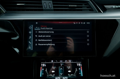 Audi e-tron Gebrauchtwagen