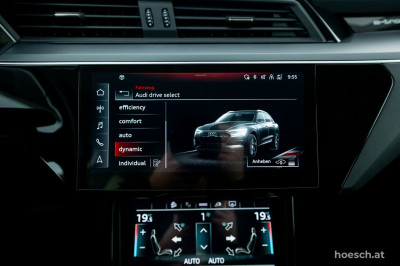 Audi e-tron Gebrauchtwagen