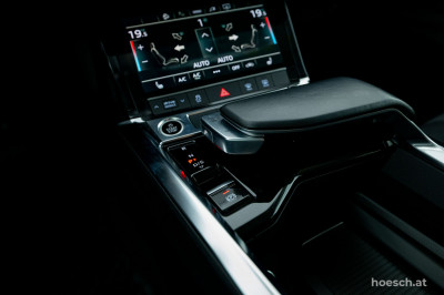 Audi e-tron Gebrauchtwagen