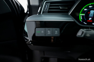 Audi e-tron Gebrauchtwagen