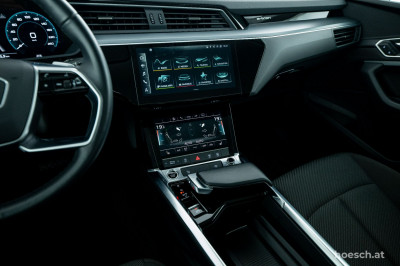 Audi e-tron Gebrauchtwagen