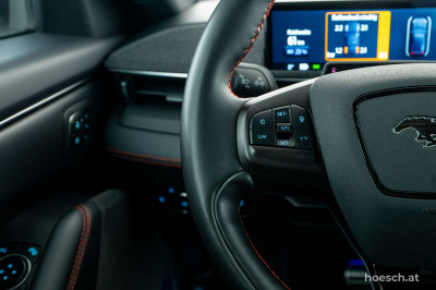 Ford Mustang Mach-E Gebrauchtwagen