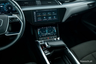 Audi e-tron Gebrauchtwagen