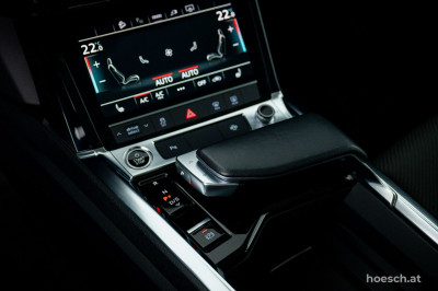 Audi e-tron Gebrauchtwagen