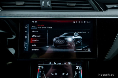 Audi Q8 e-tron Gebrauchtwagen