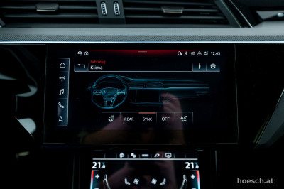 Audi Q8 e-tron Gebrauchtwagen