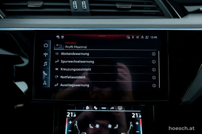 Audi Q8 e-tron Gebrauchtwagen