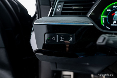 Audi Q8 e-tron Gebrauchtwagen