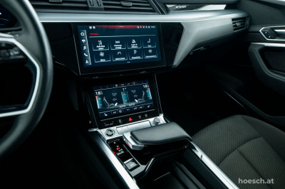 Audi e-tron Gebrauchtwagen