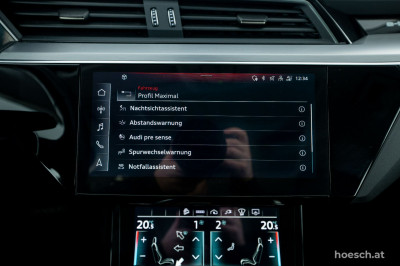 Audi e-tron Gebrauchtwagen