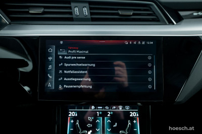 Audi e-tron Gebrauchtwagen