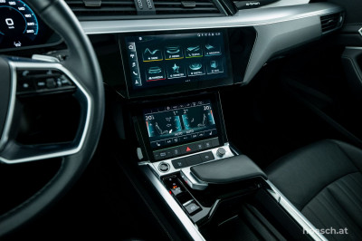 Audi e-tron Gebrauchtwagen