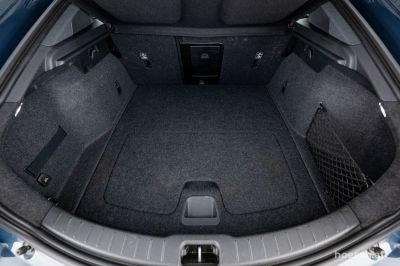 Polestar Polestar 2 Gebrauchtwagen