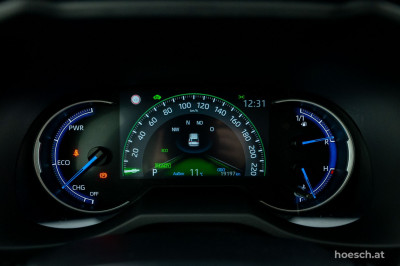 Toyota RAV4 Gebrauchtwagen