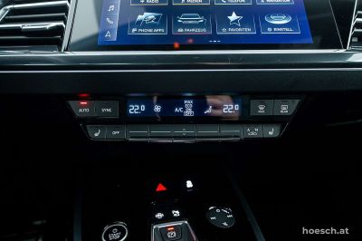 Audi Q4 e-tron Gebrauchtwagen