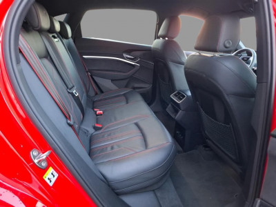 Audi Q8 e-tron Gebrauchtwagen