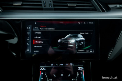 Audi e-tron Gebrauchtwagen