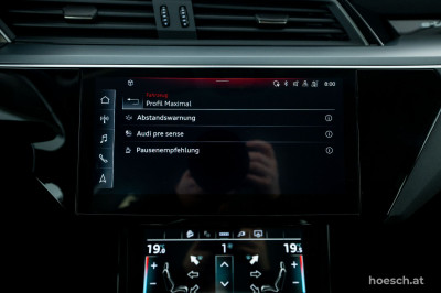 Audi e-tron Gebrauchtwagen