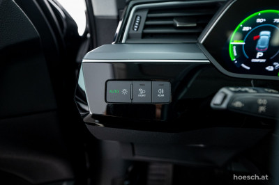 Audi e-tron Gebrauchtwagen