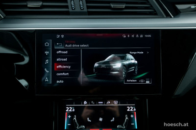 Audi e-tron Gebrauchtwagen