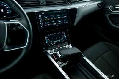 Audi e-tron Gebrauchtwagen