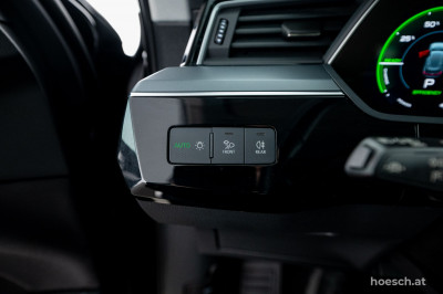 Audi e-tron Gebrauchtwagen