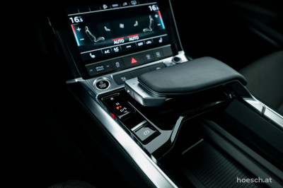 Audi e-tron Gebrauchtwagen Audi e-tron Gebrauchtwagen