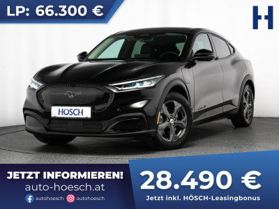 Ford Mustang Mach-E Gebrauchtwagen Ford Mustang Mach-E Gebrauchtwagen