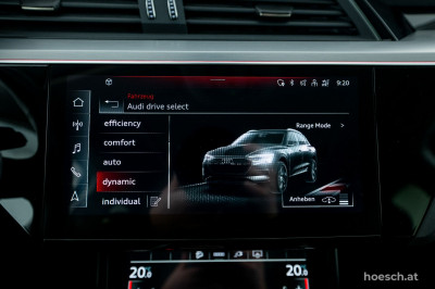 Audi e-tron Gebrauchtwagen Audi e-tron Gebrauchtwagen