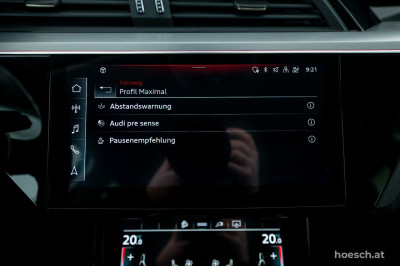 Audi e-tron Gebrauchtwagen