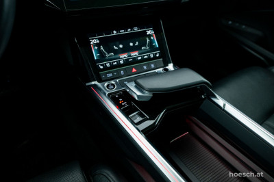 Audi e-tron Gebrauchtwagen
