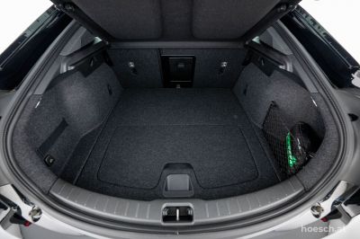 Polestar Polestar 2 Gebrauchtwagen