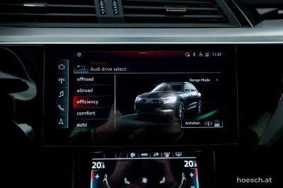 Audi e-tron Gebrauchtwagen