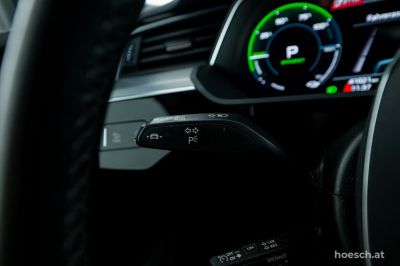 Audi e-tron Gebrauchtwagen