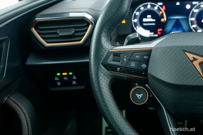 Cupra Leon Gebrauchtwagen Cupra Leon Gebrauchtwagen