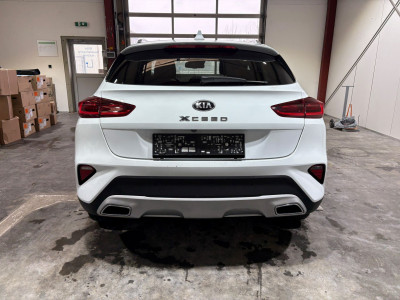 KIA XCeed Gebrauchtwagen KIA XCeed Gebrauchtwagen
