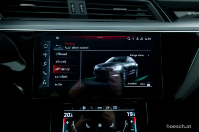 Audi e-tron Gebrauchtwagen