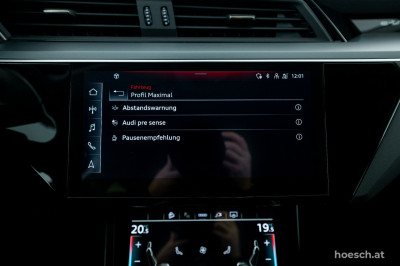 Audi e-tron Gebrauchtwagen