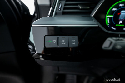 Audi e-tron Gebrauchtwagen