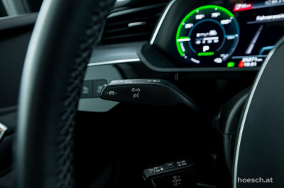 Audi e-tron Gebrauchtwagen