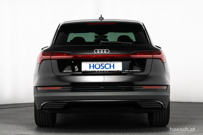 Audi e-tron Gebrauchtwagen