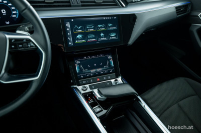 Audi e-tron Gebrauchtwagen