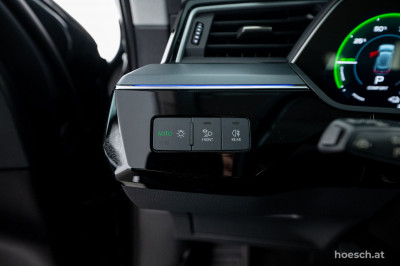 Audi e-tron Gebrauchtwagen