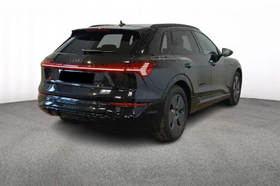 Audi Q8 e-tron Gebrauchtwagen