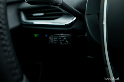 Skoda Enyaq Gebrauchtwagen