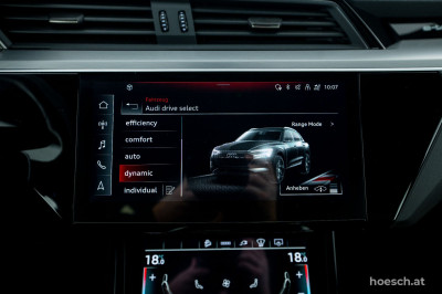 Audi e-tron Gebrauchtwagen