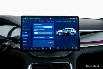 BYD Seal U Gebrauchtwagen