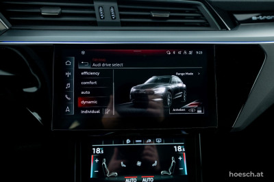 Audi e-tron Gebrauchtwagen