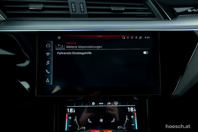 Audi e-tron Gebrauchtwagen